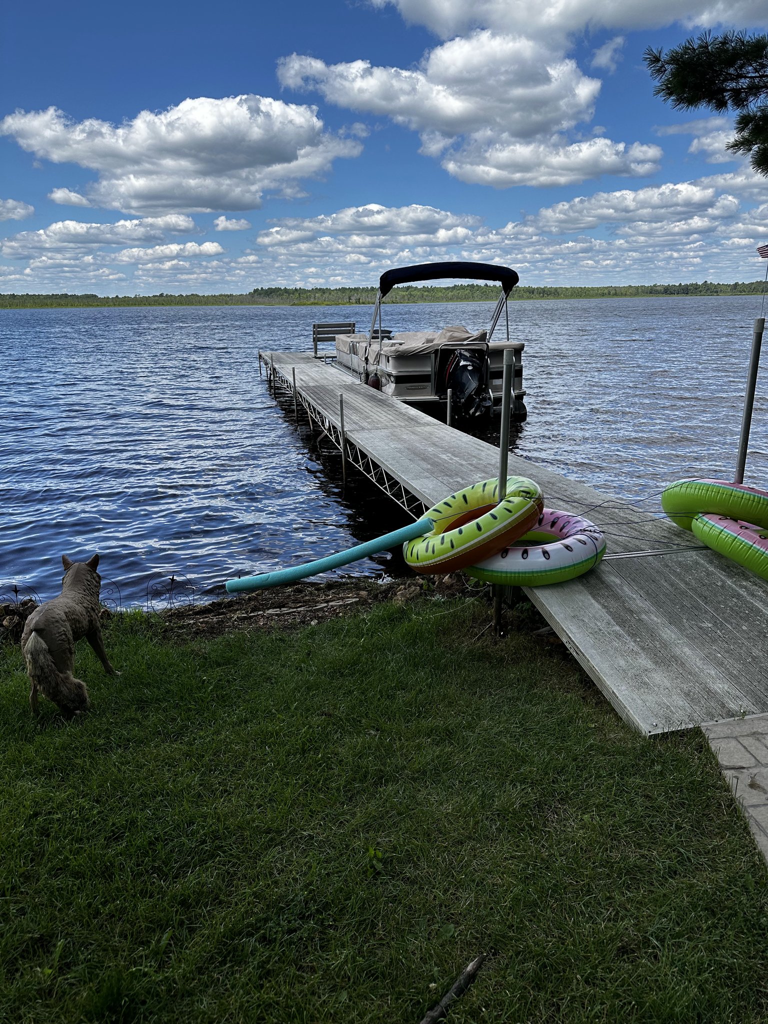 Pontoon boat docked at Loon Lodge with colorful floaties
